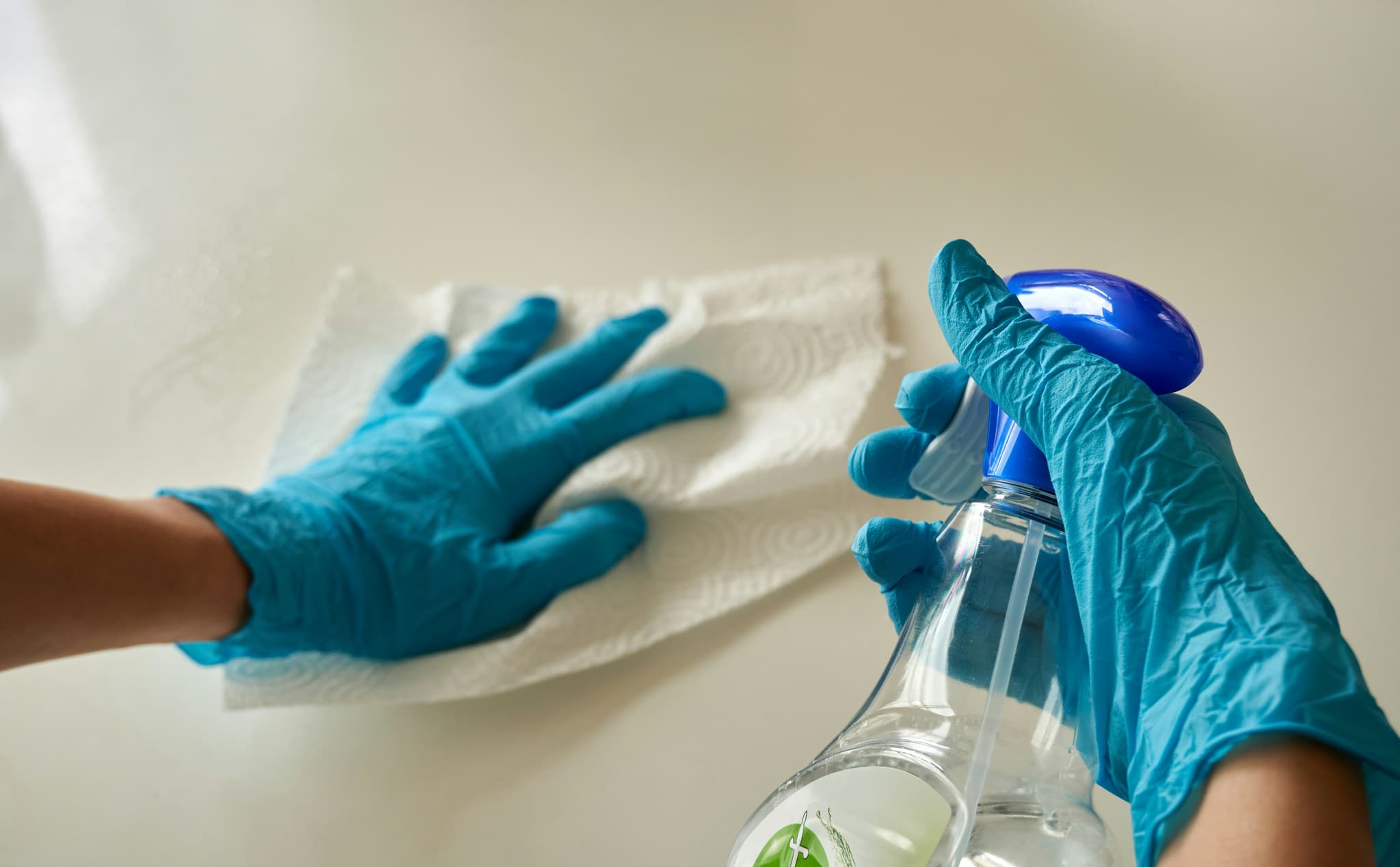 Steam cleaning service