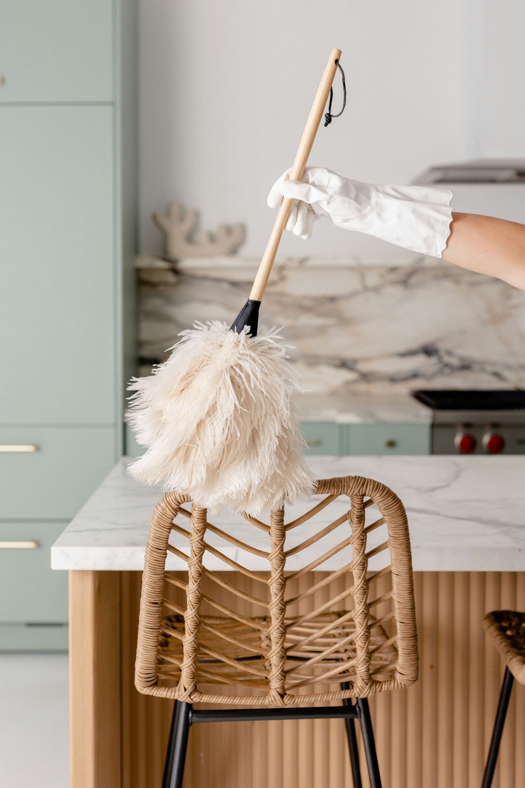 Expert Hygiene Services — professional cleaning